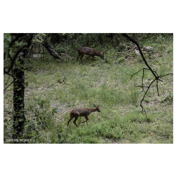 PHOTO84, CLUB, 84 , LUBERON